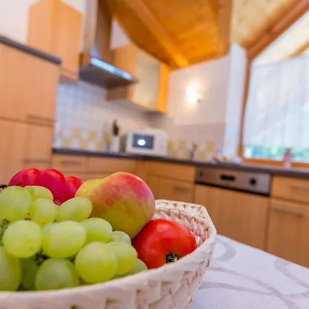 Apartment Weisskugel Langtaufers Suedtirol Melago