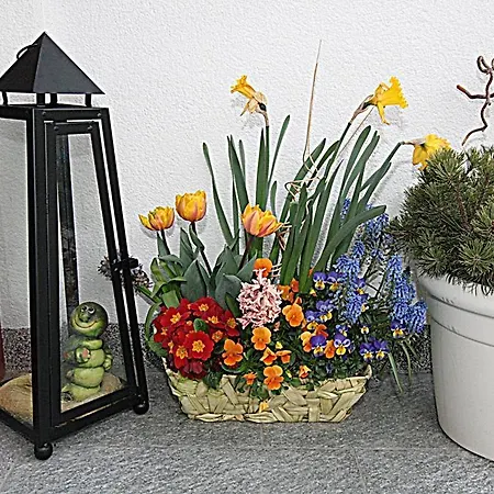 Weisskugel Langtaufers Suedtirol Apartment