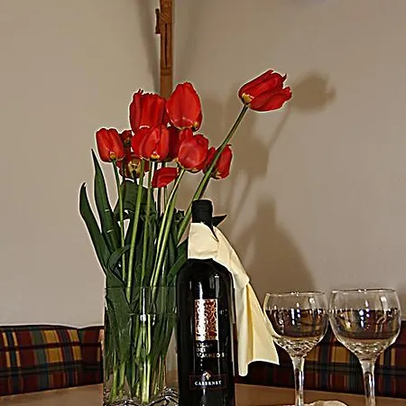 Apartment Weisskugel Langtaufers Suedtirol