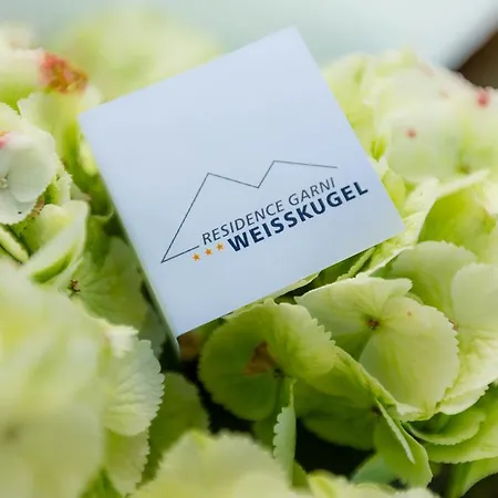Weisskugel Langtaufers Suedtirol Melago